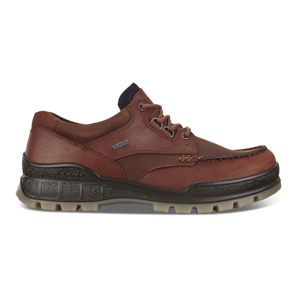 ECCO Mens Hiking Shoes Brown - Track 25 - LVX-852463